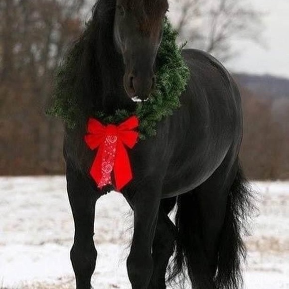 Meet your Posher, Debbie.Handmade jewelry - Picture 10 of 17